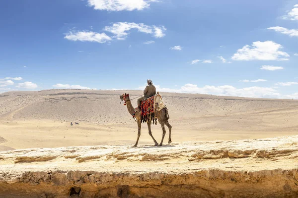 Beduinen Auf Kamelen Nahe Pyramiden Der Wüste — Stockfoto