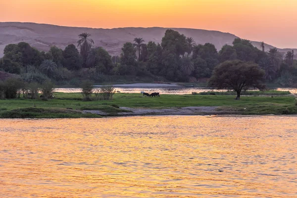 Захід Сонця Над Нілу Єгипті — стокове фото