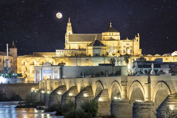 モスク 大聖堂とコルドバ アンダルシア スペインのローマ橋の夜景 — ストック写真