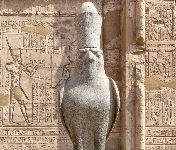 埃德福寺的猎鹰神霍鲁斯 位于尼罗河西岸 埃德福 上埃及 — 图库照片