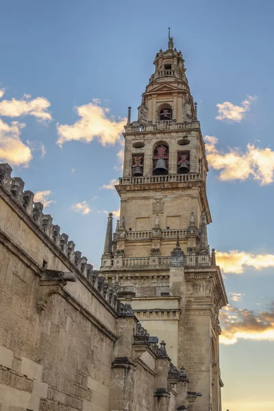 Zvonice Mešita Katedrála Córdoba Při Západu Slunce Původní Muslimský Minaret — Stock fotografie