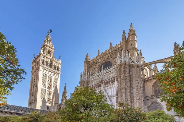 Giralda kulesi ve ön planda portakal ağaçları ile Saint Mary Kilisesi (Seville Katedrali) manzarası