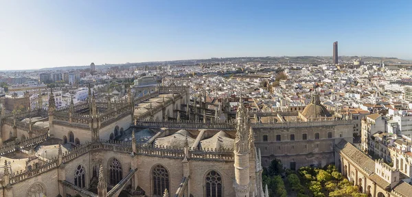 Vzdušný Výhled Město Sevilla Katedrálu Marie Stol Seville Jak Vidět — Stock fotografie