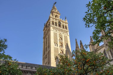 Ön planda portakal ağaçları olan Sevilla Katedrali 'nin (Seville Katedrali) Giralda Kulesi manzarası