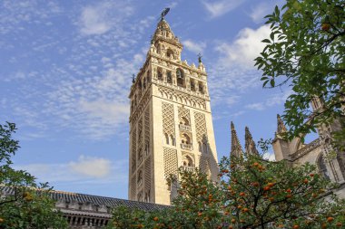 Ön planda portakal ağaçları olan Sevilla Katedrali 'nin (Seville Katedrali) Giralda Kulesi manzarası