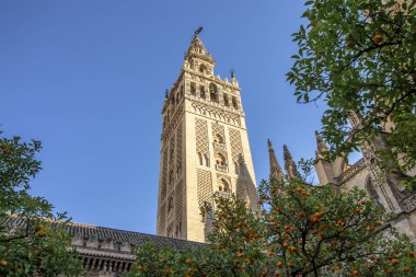Ön planda portakal ağaçları olan Sevilla Katedrali 'nin (Seville Katedrali) Giralda Kulesi manzarası