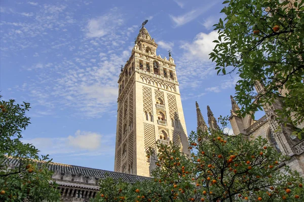 View Giralda Tower Seville Cathedral Saint Mary See Seville Cathedral — Stock Photo, Image