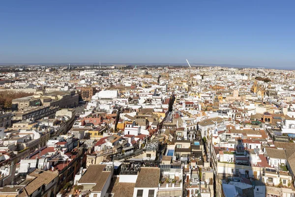 Aerial View Seville City Cathedral Saint Mary See Seville See — Stock Photo, Image