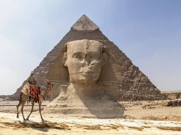 Sphinx Gezicht Achtergrond Van Piramide Van Giza Cairo Egypte — Stockfoto