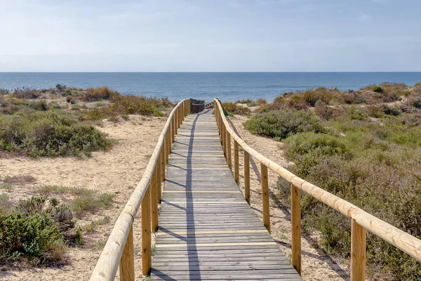 Caminho de madeira sobre dunas e pinheiros na praia em Punta Umbria, Hu — Fotografia de Stock