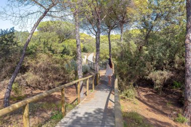 Ahşap yolu tepeleri ve pines plajda Punta Umbria, Huelva üzerinde. Los Enebrales beach