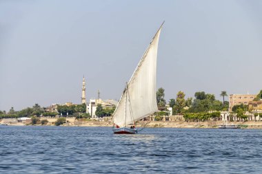 Nil Nehri 'nde faluca tekne yelken