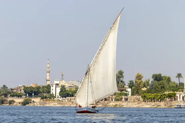 Faluca boot zeilen in Nile River — Stockfoto