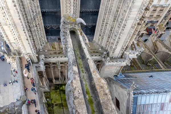 Paris, Frankrike-mars 15, 2018: Flygbild av Gargoyle i Notre — Stockfoto