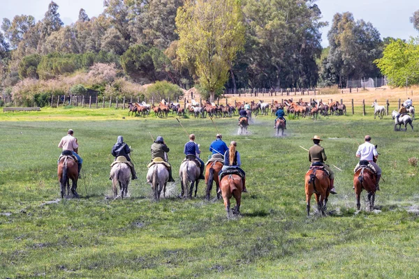 Guardianes de yeguas reproductoras en humedales de El Rocio, guiando caballos —  Fotos de Stock