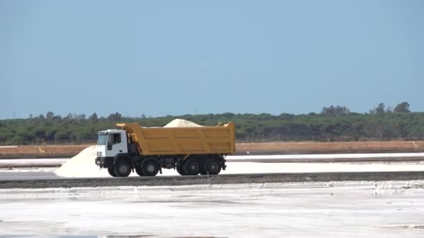 Transporte Sal Num Camião Carregado Sal Marinho Produzido Pela Evaporação — Vídeo de Stock