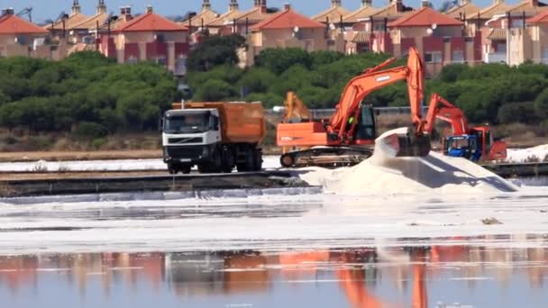 Huelva Spagna Settembre 2020 Produzione Tradizionale Naturale Sale Nella Riserva — Video Stock