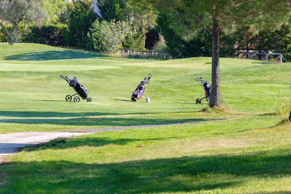 Golf clubs in bag on trolley