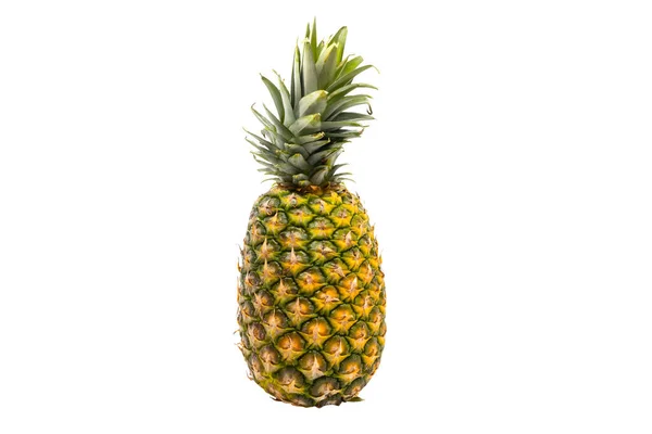 Jediný Ananas Izolovaný Bílém Pozadí Ananas Comosus Tropická Rostlina Jedlým — Stock fotografie