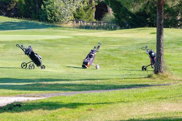 Golf clubs in bag on trolley