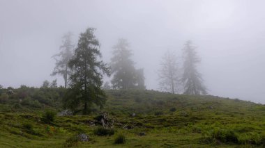 Güney Tyrol 'daki Rosengarten Dağları' nın manzarası harika. Yüksek kalite fotoğraf