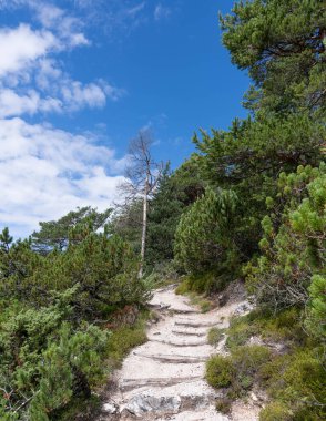 Güney Tyrol 'daki Rosengarten Dağları' nın manzarası harika. Yüksek kalite fotoğraf