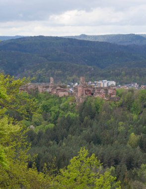 THe Nature of the Palatine Forest - Pfaelzer Wald in Germany. High quality photo