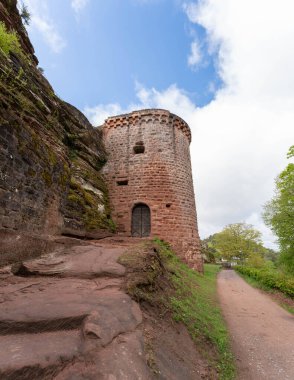 THe Nature of the Palatine Forest - Pfaelzer Wald in Germany. High quality photo