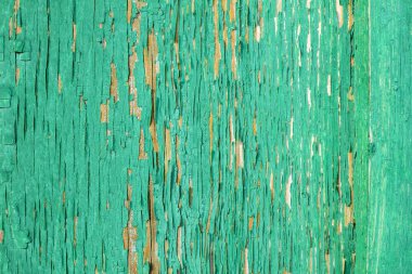 Doku eski Yeşil Ahşap ahşap arka plan doku, peeling boya ile yüzey boyalı 