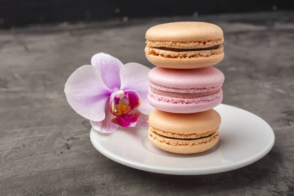 Delicious Colorful Cookies Macarons Plate Orchid Flower Decoration Dark Background — Stock Photo, Image