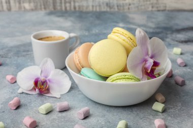 Macarons plaka. Havadar Marshmallow. Açık renkli 