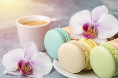 Macarons plaka. Havadar Marshmallow. Açık renkli 