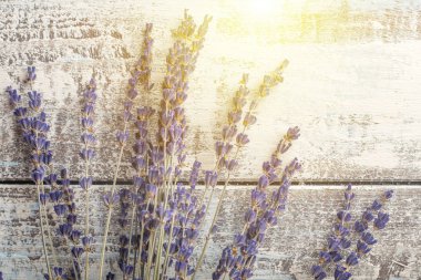 Lavanta buket hafif bir arka plan üzerinde. Kurutulmuş lavanta 