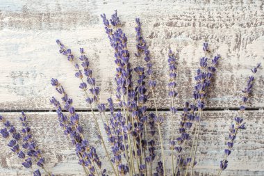 Lavanta buket hafif bir arka plan üzerinde. Kurutulmuş lavanta 