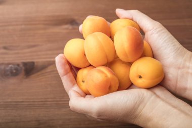 Ahşap arka plan üzerinde bir kızın elinde olgun organik kayısı 