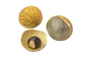 Longan fresh (Dimocarpus Longan) and Peel show the white meat with black seed isolated on white background  clipart