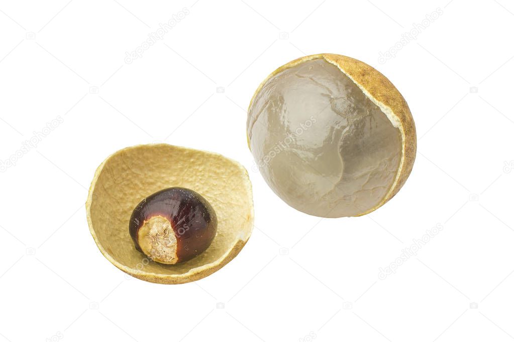 Longan fresh (Dimocarpus Longan) and Peel show the white meat with black seed isolated on white background 
