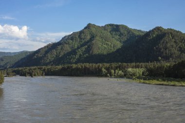 Dağ manzarası ile bir su akışı ile altay, Sibirya, Rusya Federasyonu 