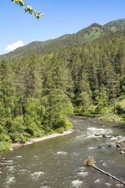 Dağ manzarası ile bir su akışı ile altay, Sibirya, Rusya Federasyonu 