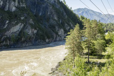 Dağ manzarası ile bir su akışı ile altay, Sibirya, Rusya Federasyonu 