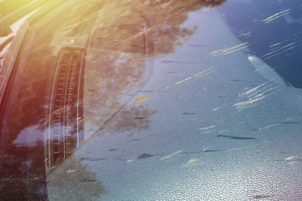 Araba cam böcek lekesi. Ön camın ölü böcek, sinek, sivrisinek