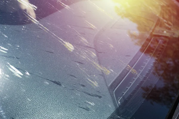Araba cam böcek lekesi. Ön camın ölü böcek, sinek, sivrisinek