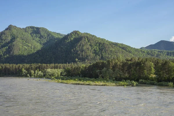 Гірський Краєвид Потоком Води Алтай Сибіру Росія — стокове фото