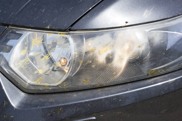 The headlights of the car in spots from insects, beetles, mosquitoes, butterflies. Close-up