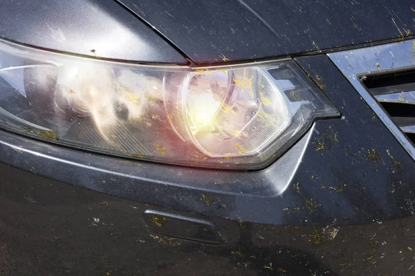 The headlights of the car in spots from insects, beetles, mosquitoes, butterflies. Close-up