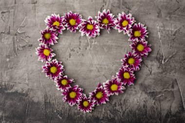 Muhteşem kasımpatı çiçekleri koyu arka plan üzerinde kalp şeklinde