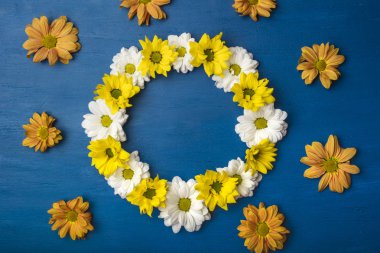 Yuvarlak çerçeve çiçek mavi bir arka plan üzerinde. Kopya alanı ile muhteşem krizantem  