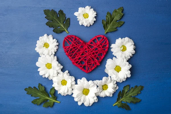Lindas Flores Crisântemo Coração Vermelho Com Espaço Cópia Fundo Azul — Fotografia de Stock