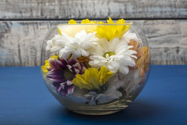 Bunte Chrysanthemen Einer Glasvase Auf Blauem Hintergrund Kopierraum — Stockfoto