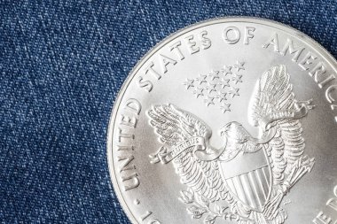 Kot arka plan kopya alanı metni ile gümüş dolar yakın çekim